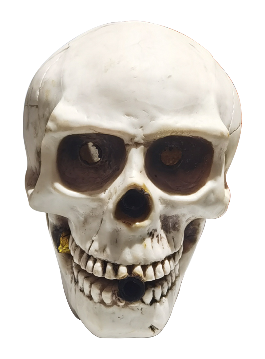 Skull