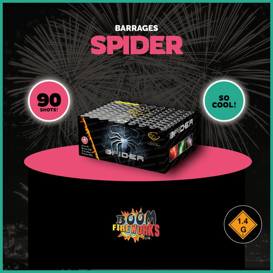 Spider