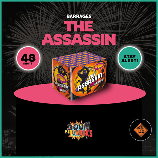 The Assassin