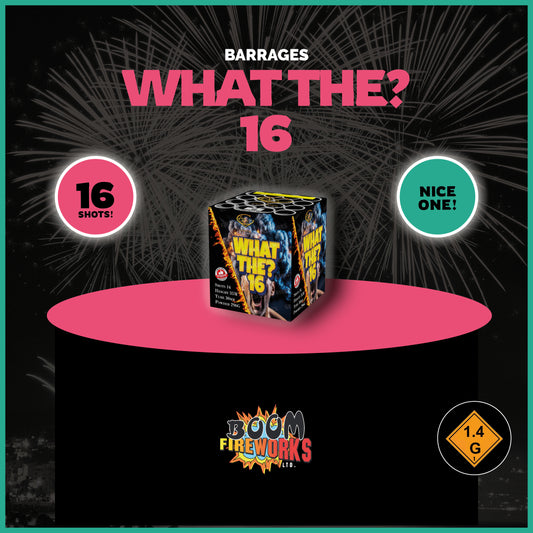 What The? 16