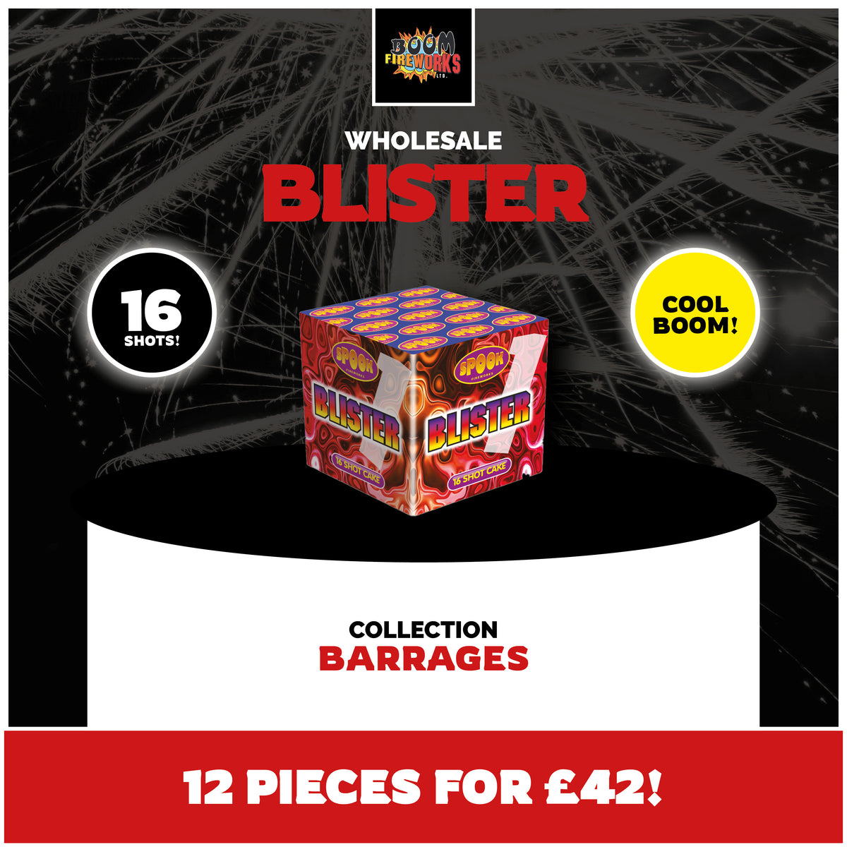 Wholesale - Blister x 12 Pieces