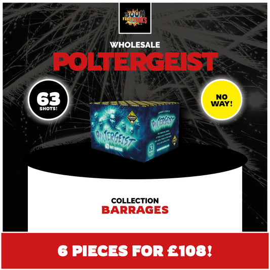 Wholesale - Poltergeist x 6 Pieces